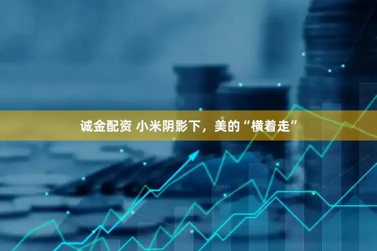 诚金配资 小米阴影下，美的“横着走”