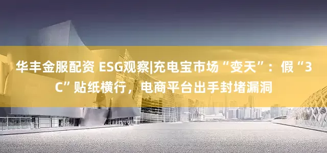 华丰金服配资 ESG观察|充电宝市场“变天”：假“3C”贴纸横行，电商平台出手封堵漏洞
