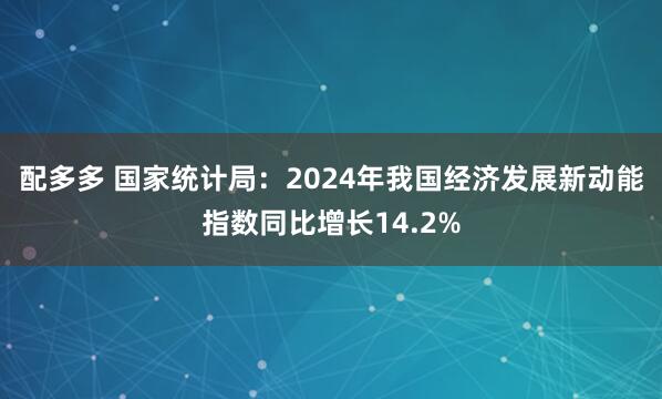 配多多 国家统计局：2024年我国经济发展新动能指数同比增长14.2%