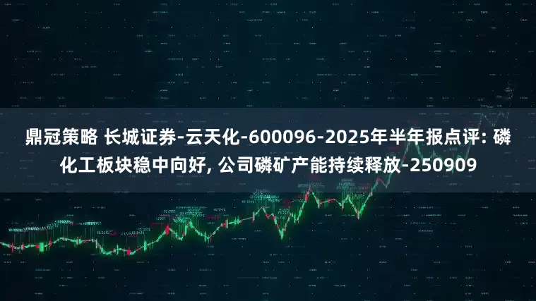 鼎冠策略 长城证券-云天化-600096-2025年半年报点评: 磷化工板块稳中向好, 公司磷矿产能持续释放-250909
