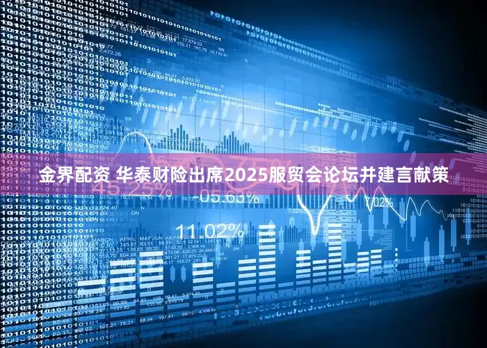金界配资 华泰财险出席2025服贸会论坛并建言献策