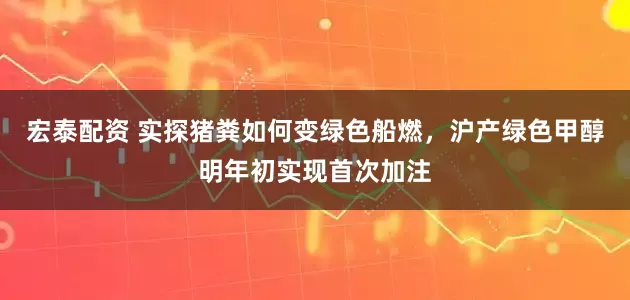 宏泰配资 实探猪粪如何变绿色船燃，沪产绿色甲醇明年初实现首次加注