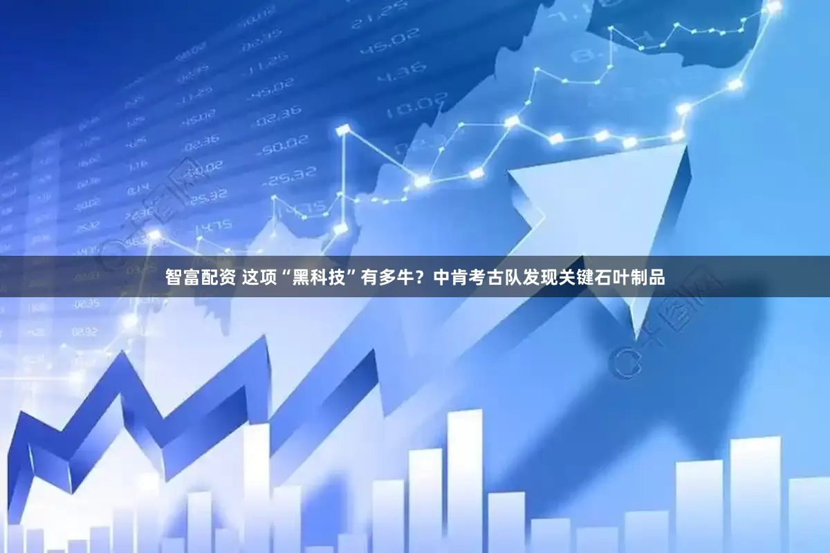 智富配资 这项“黑科技”有多牛？中肯考古队发现关键石叶制品