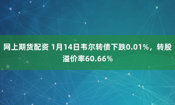 网上期货配资 1月14日韦尔转债下跌0.01%，转股溢价率60.66%