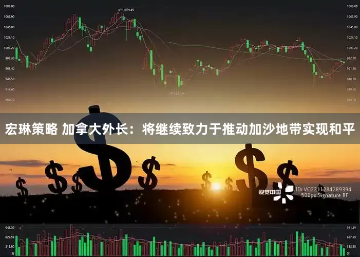 宏琳策略 加拿大外长：将继续致力于推动加沙地带实现和平