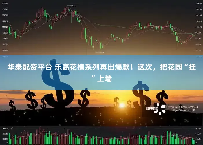 华泰配资平台 乐高花植系列再出爆款！这次，把花园“挂”上墙